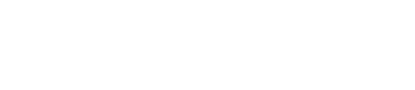 2N